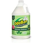 OdoBan Eucalyptus Disinfectant and Odor Eliminator, Fabric & Air Freshener, Pet Odour Remover, Multi-Purpose Cleaner Concentrate 1 Gal. (3.79L)