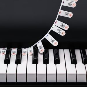 XynkoreX Silicone Piano Keyboard Stickers, Removable Piano Keyboard Note Labels for Learning, 88-Key Full Size, Piano Notes Guide for Beginner, Reusable Comes Unique and cute dog paw design (Rainbow)