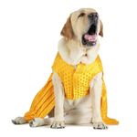 Barks & Wags Lehenga or Dog Wedding Dress, Pet Outfit for Dogs, Dog Clothes, Elegant Dog Costume, Dog Dress for Female Dogs (M, Gold)