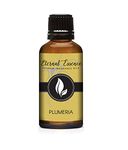 Plumeria Premium Fragrance Oil - Scented Oil - 30ml