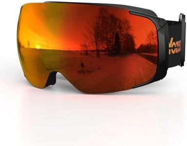 Ski Goggle