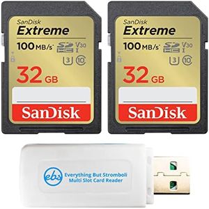 SanDisk Ex