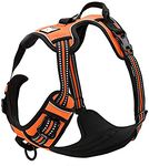 Truelove Dog Harness TLH5651 No-pull Reflective Stitching Ensure Night Visibility, Outdoor Adventure Big Dog Harness Perfect Match Puppy Vest (Orange,M)