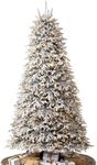 Balsam Hill BH Frosted Fraser Fir -