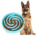 Large Pet Slow Feeder Dog Bowl, Slow Eating Dog Bowl Fun Puzzle Feeding Bowl Non Skid Bloat Stop Dog Food Bowl Interactive Maze Bowl Sky blue