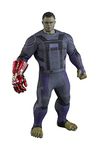 Hot Toys Avengers: Endgame MMS558 Hulk 1/6th Scale Collectible Figure (Standard Grade) with Gauntlet Figure