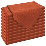 24 Pcs Handmade Cloth Napkins 16x16 Inches Cotton Napkins with Fringe Washable Soft Rustic Dinner Napkins for Party Weddings Christmas Dinner Daily Use (Terracotta)