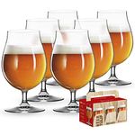 Spiegelau Beer Classics Tulip Glasses Set of 6 - European-Made Crystal, Modern Beer Glasses, Dishwasher Safe, Professional Quality Beer Tulip Glass Gift Set - 15.5 oz