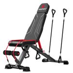 Keppi 900LB Weight Bench, Adjustable Foldable Workout Bench Press for Full Body Strength Training, Incline Decline Bench with Fast Folding - New Version