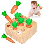 Aitbay Montessori Toys for 1 Year Old Toddlers, Carrots Harvest Shape Size Sorting Game Developmental Wooden Montessori Toys for Boys and Girls Age 1 Preschool Learning for 12-18 Month