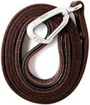 Mighty Paw Leather Dog Leash for La