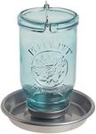 Perky-Pet 1 Mason Jar Wild Bird Wat