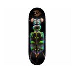 Skate Decks