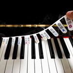 Removable Piano Keyboard Note Label