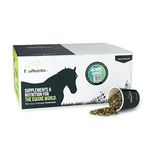 Equinutritive - No More Nerves - Calming Supplement For Horses - 100% Natural Ingredients (3 kg)