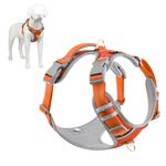 Plutus Pet No Pull Dog Harness, Release at Neck, Reflective Adjustable Dog Vest Harness, Easy Control Handle for Walking, for Small Medium Large Dogs, Orange, XL