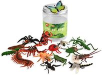 BOHS Assorted Lifelike Bugs - Children Biology Science STEM Toys Gift - Rubber Realistic Insects Models - Perfect for Party Favors, Birthday Cake Decor