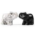 Artistone 1.5" Crystal Elephant Figurine Hand-Carved Gemstone Healing Crystal Figurine Animal Collection Statue Pack with Gift Box (White Howlite+Black Obsidian,Pack of 2)