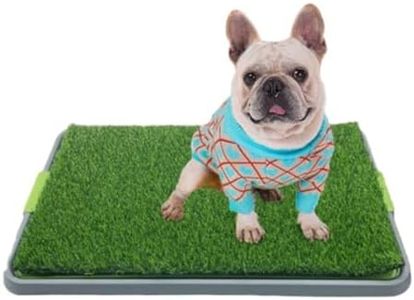 RYUREI Dog