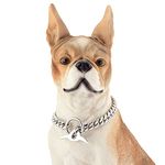 Chew Proof Dog Collar