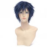 QIYUN.Z 30cm Navy Blue Straight Short Unisex Synthetic Full Cosplay Costume Anime Wig