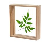 Desi Rang® Wooden Frame for wall decor, table top, any plant leaf decoration, picture, photo, DIY, Gift item,home office desk (Square)