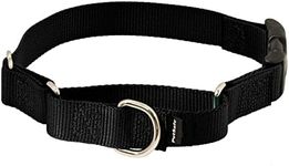 PetSafe Martingale Dog Collar with 