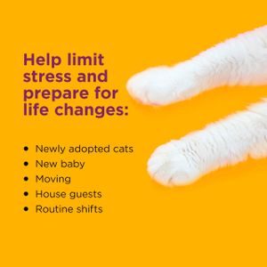 Comfort Zone Cat Calming Diffuser – Stress Relief Plug-In