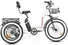 ADDMOTOR Grandtan II Electric Tricy