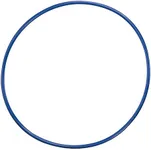 Champion Sports Diameter Plastic Hoop, 24"