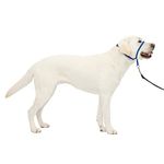 PetSafe Gentle Leader Headcollar, No-Pull Dog Collar Perfect for Leash & Harness Training Stops Pets from Pulling and Choking on Walks Large, Royal Blue