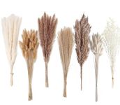 Dried Pampas Grass Decor, 128 PCS Pampas Grass with Bunny Tails Dried Flowers, Reed Grass Bouquet for Wedding, Boho Flowers, Home Table Decor, Rustic Farmhouse Party