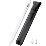 Pogo Stylus For Ipad