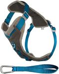 Kurgo Journey Dog Harness for Running, Walking Harness, and Hiking Harness, Small, Blue