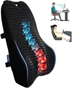 Teemour Lumbar Support Pillow for Office Chair Car Lumbar Pillow Memory Foam Car Back Support for Driving Back Pillow Design for Gaming Chair, Couch, Recliner 1 Pack