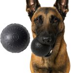 Monster K9 Indestructible Dog Ball 