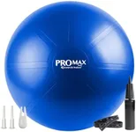 SmarterLife PRO MAX Exercise Ball f