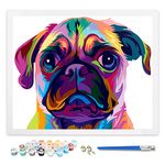 ifymei Paint by Numbers for Adults, Children, Beginners, DIY Gift Arts Kits with Brushes and Acrylic Pigment, 16x20 Inch Colorful Cute Dog [Without Frame]