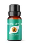 Eucalyptus Essential Oil, 10ml | Essential Oils Fragrance for Diffuser for Home, Candle Making, Cleaning, humidifier, Spider, Steam/Bath | Pure, Natural, Vegan, Made in UK