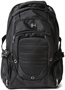 Swisswin SW9725I Swiss Waterproof 17-Inch Laptop/Travel Backpack