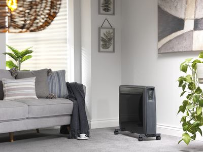 Dimplex FuturRad 3kW Electric Radiator – Black