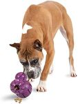 PetSafe Busy Buddy Barnacle - Dog Chew Toy - Treat Dispensing Dog Toys