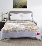 Petals Dreams Blanket Double Bed for Moderate Winter, 800 GSM, 2 Ply, Cloudy Mink Blanket (210x240 cm) (Cadet Grey)