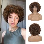 Creamily Afro Hair Wig For Women Full Head,Short Curly Wigs With Fluffy For Women,Brown Kinky Curly Synthetic 70s Afro Wig For Girls,Bouncy Full And Natural Looking Circus Disco 10Inch