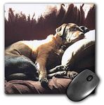 3dRose Mouse Pad Lazy Dog Days Sunny Nap Artistic Chocolate Lab Labrador Retreiver - 8 by 8-Inches (mp_300646_1)