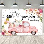 Lofaris Little Pumpkin Girl Baby Shower Photography Backdrops Props Fall Autumn Pink Floral Princess Baby Shower Party Decoration Car Gold Balloon Flowers Photo Studio Booth Background Banner 9x6ft