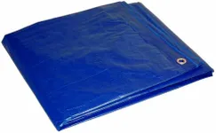 Dry Top 808100 Cut Size Tarp, 8x10 