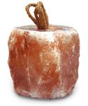 Wholefood Earth PACK of 2 x 2kg Blocks Himalayan Pink Salt - Free Rope Included - Great For Horses Cows Cattle