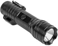 Arc Flashlight and Lighter