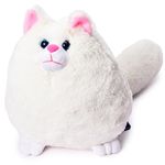 Webby Plush Cute and Adorable Fat Fluffy Glitter Eye Cat Soft Toys for Kids